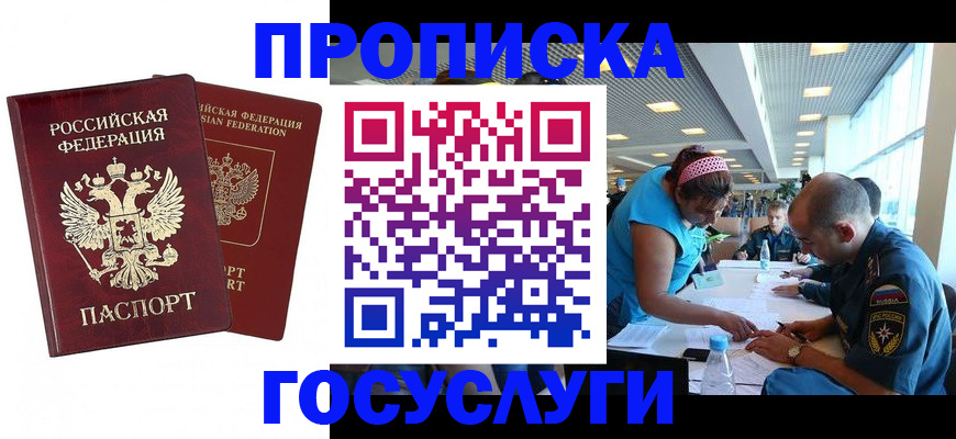 прописка поиск в Котово